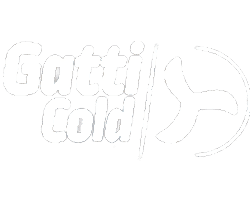 gatti web