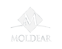 Moldear web